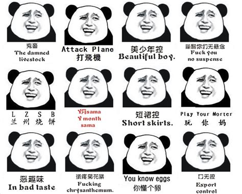 chinese panda meme|Top 10 Most Popular Chinese Memes To Know .